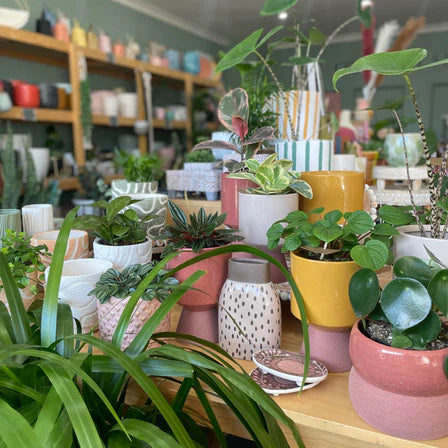 Homewares